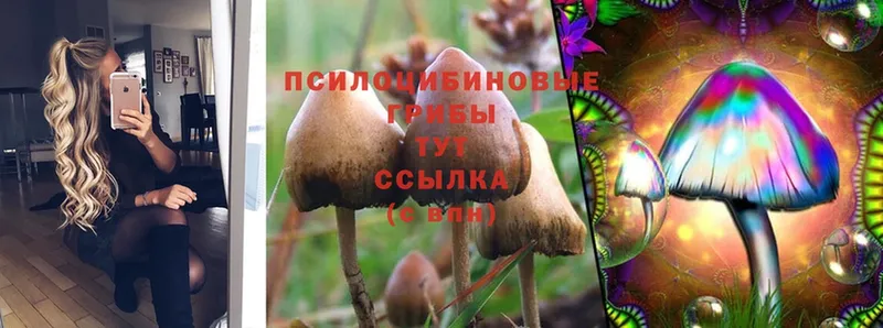 Псилоцибиновые грибы MAGIC MUSHROOMS  Златоуст 